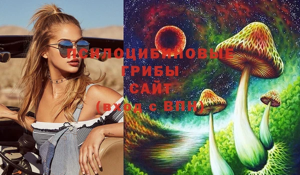 дмт Пенза