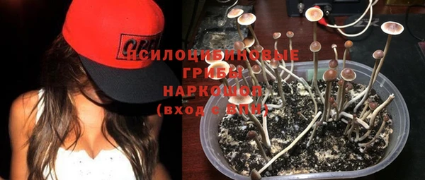 дмт Пенза