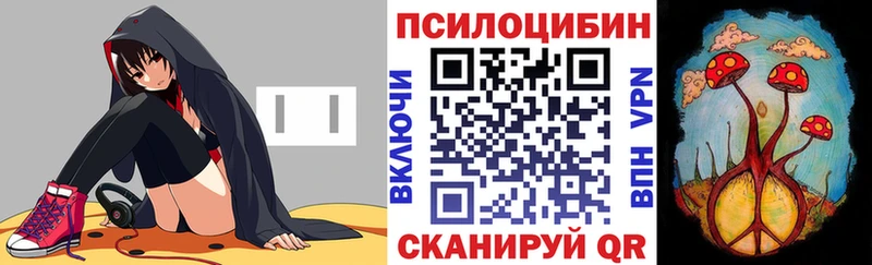 Купить закладки  Отрадное  Галлюциногенные грибы мицелий 