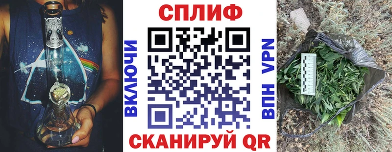 Каннабис планчик  Купить закладки  Отрадное 